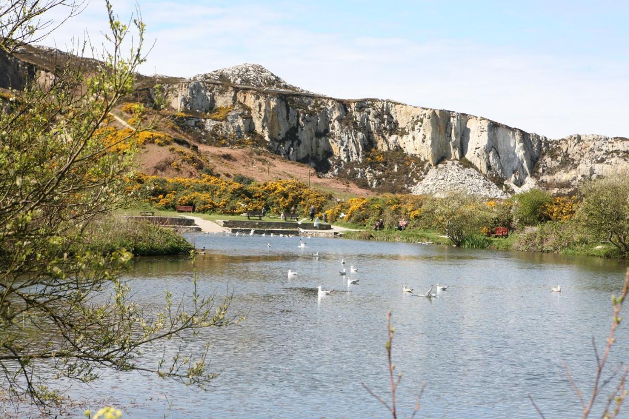 Swn Y Nant Villa Holyhead Eksteriør bilde